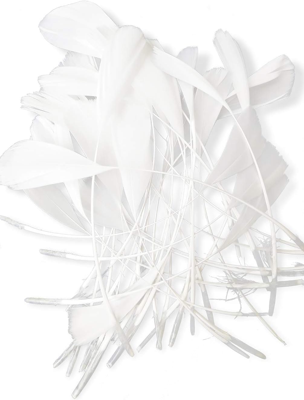 wanjin Goose Feather Craft 5-7inchs Plume for Wedding Centerpieces Home Decoration Feathers Pack of 40(White)