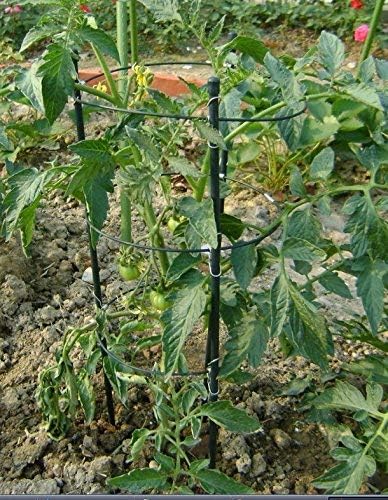 Paquete de 2 anillos de soporte para plantas de jardín Flor de ...