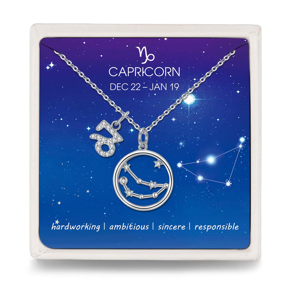Qings CZ Capricorn Necklace Zodiac Constellation Sterling Silver Round Pendant Adjustable Chain Necklaces — image 1