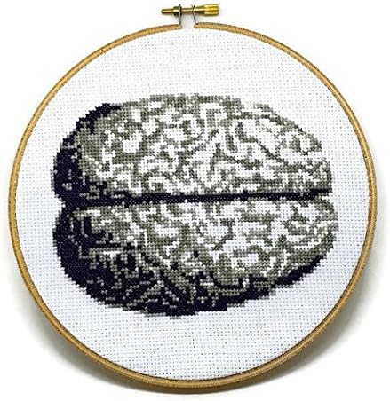 Anatomical Brain Counted Cross Stitch Kit DIY
