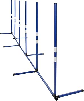 best home squat rack