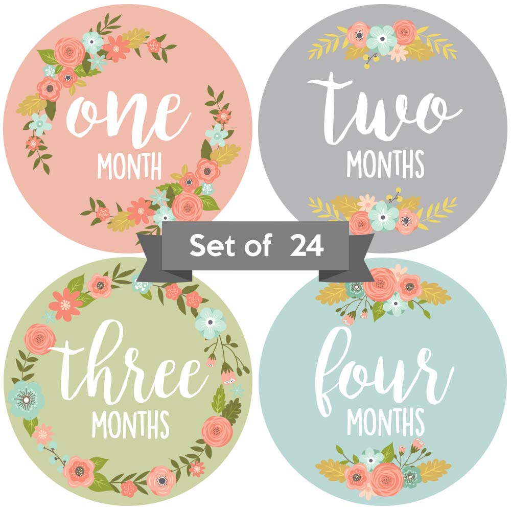 baby month stickers girl