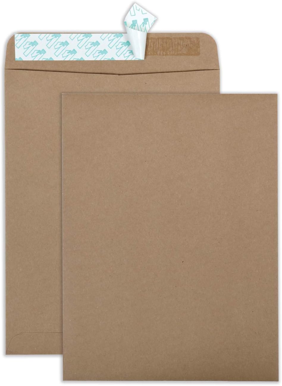Quality Park 100% Recycled Kraft Catalog Envelope, 9 inches x 12inches, Kraft, Redi-Strip, 100 Count (44511) : Office Products
