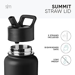 Simple Modern Water Bottle with Straw Lid Vacuum