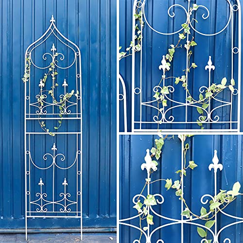 PLHMS 3er Pack Pflanzen-Rankhilfe aus Metall, für den Garten, Rankgitter mit Halter H-96 cm Kletterhilfe, Garten… – Bild 5