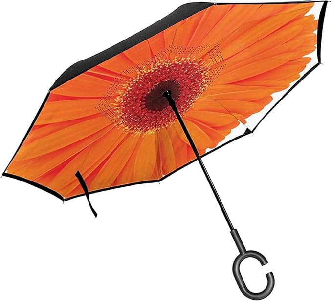 Flower Of Gerbera Vivid Petals Close Up Image Fresh Garden Botany