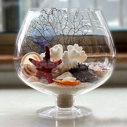 ABG Flower Plant Glass Vase Terrarium Wine Glass Decor. BIGGEST SIZE. WITH COLORFUL GLASS STONES