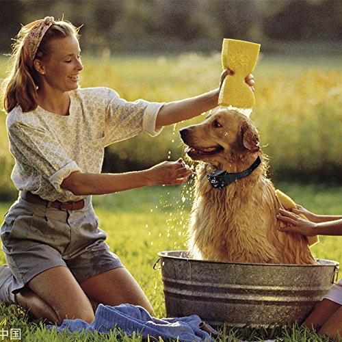 image for Dog Training Collar,Banne 650 Yard Rechargeable and IPX7 Waterproof To