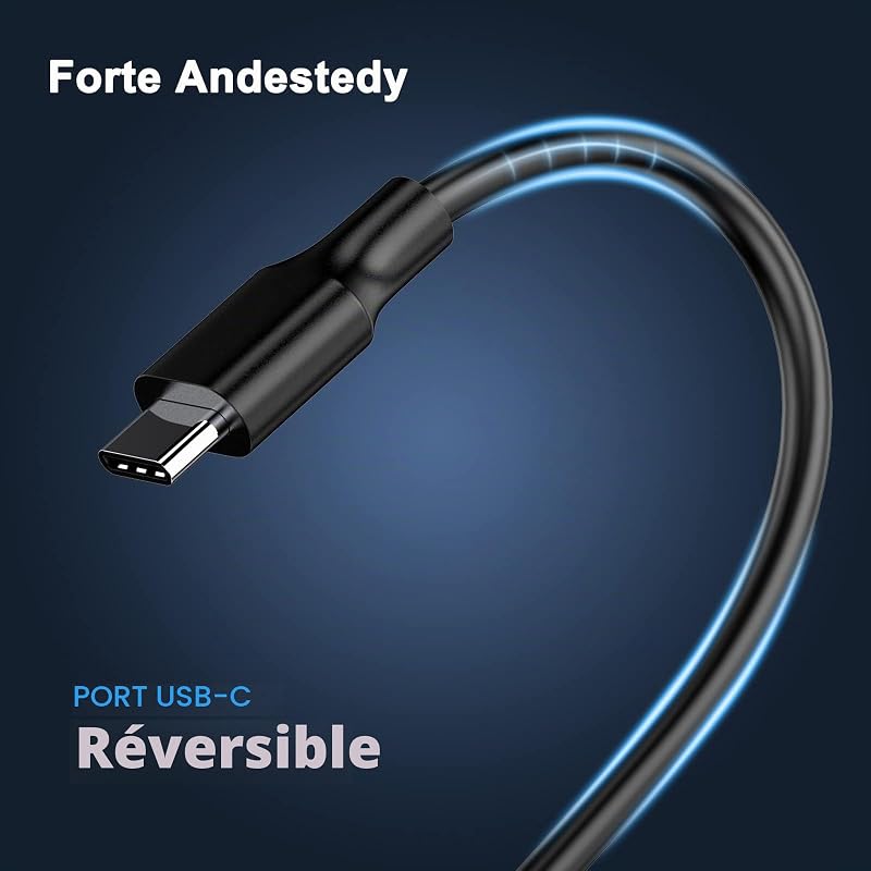 Chargeur USB C 65W pour Lenovo ThinkPad Type C Portable Adaptateur
