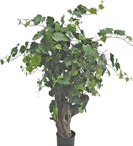 Artplants De Set 2 X Vite Artificiale Con 350 Foglie Fusto In Fibra Di Vetro 130cm 2 Pz Di Pianta Da Frutto Artificiale Pianta Decorativa Amazon It Casa E Cucina