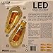 FEIT LED Vintage Style Bulbs - 4.8WATT/40WATT Replacement 2 Pack