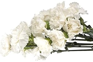 EFLOWERWHOLESALE Cut Flowers - 100 stems White Carnations - Fresh Flowers -shipping included