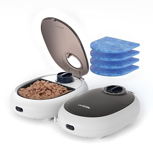 Automatic Feeders Wet Cat Food Dispenser Amazon Automatic Cat