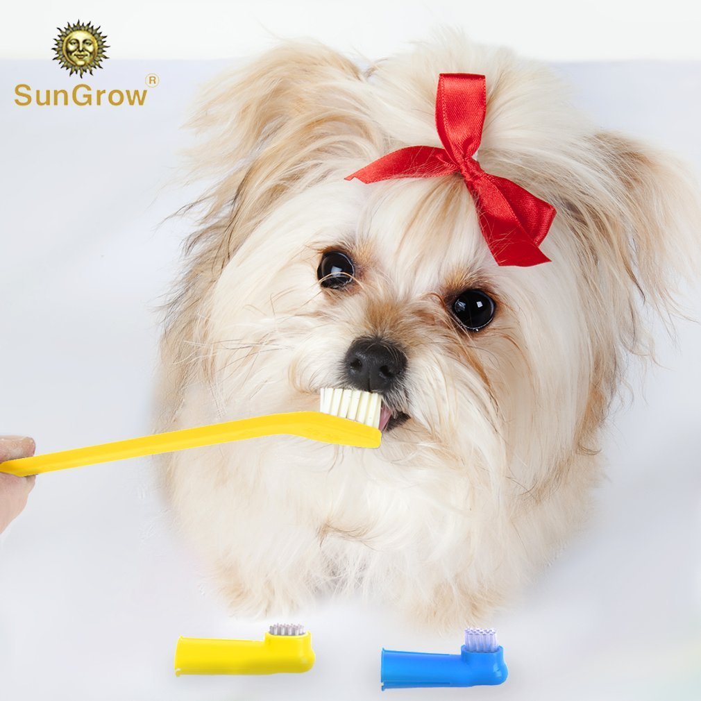 3 pcs Dog Toothbrush Set -- Dual-headed brush for better dental care - 2 Bonus Finger Brushes included - Removes plaque, freshens dog's breath - Vet & Pet Groomer Recommended - Use with Dog Toothpaste