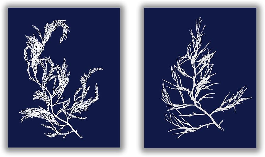 Set of Two Seaweed Prints No. 04 and 11 in Navy Blue, Coastal Decor Print Set