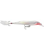 Amazon.com: Rapala Countdown Minnow Lure – 1-1/2