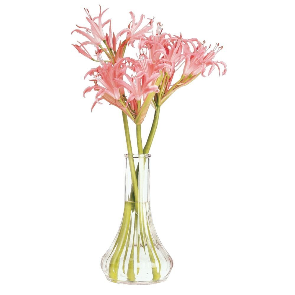 Amazon Com Cambro Bv6cw135 Clear 6 Plastic Bud Vase 12 Cs