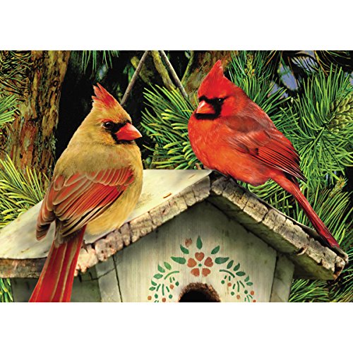 Cardinal Paint by Number Kits