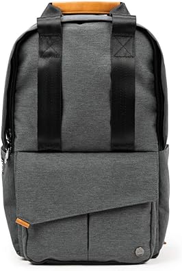 Amazon Pkg ピーケージー Rosseau Mini V2 ロッソーミニ 12l リュック ビジネスリュック ミニリュック 防水 撥水 Dark Grey ダークグレー Pkg ピーケージー メンズ