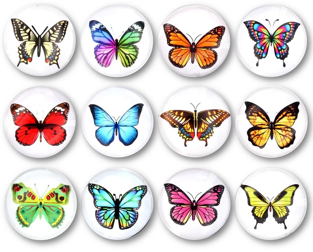 EANAGO Set of 12 beautiful fridge magnets with colourful glass surface - with rubber layer as surface protection – for kitchen, office, etc. - whiteboard magnets - small magnets