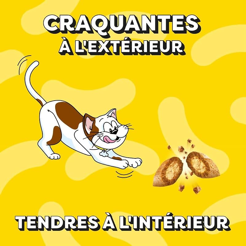 Friandises pour chat au Goût Fromage - Lot de 6 Sachets de 60g - Récompenses Pour Chats Adultes et Chatons