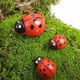 [Free Shipping] Micro Landscape Wooden Red Ladybug Home Garden Landscaping Decor // Micro paisaje jardín de su casa de madera mariquita roja decoración de jardinería