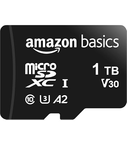 Amazon.com: SanDisk Extreme PRO SDSDXXD-1T00-ANCIN 1 TB Class 10