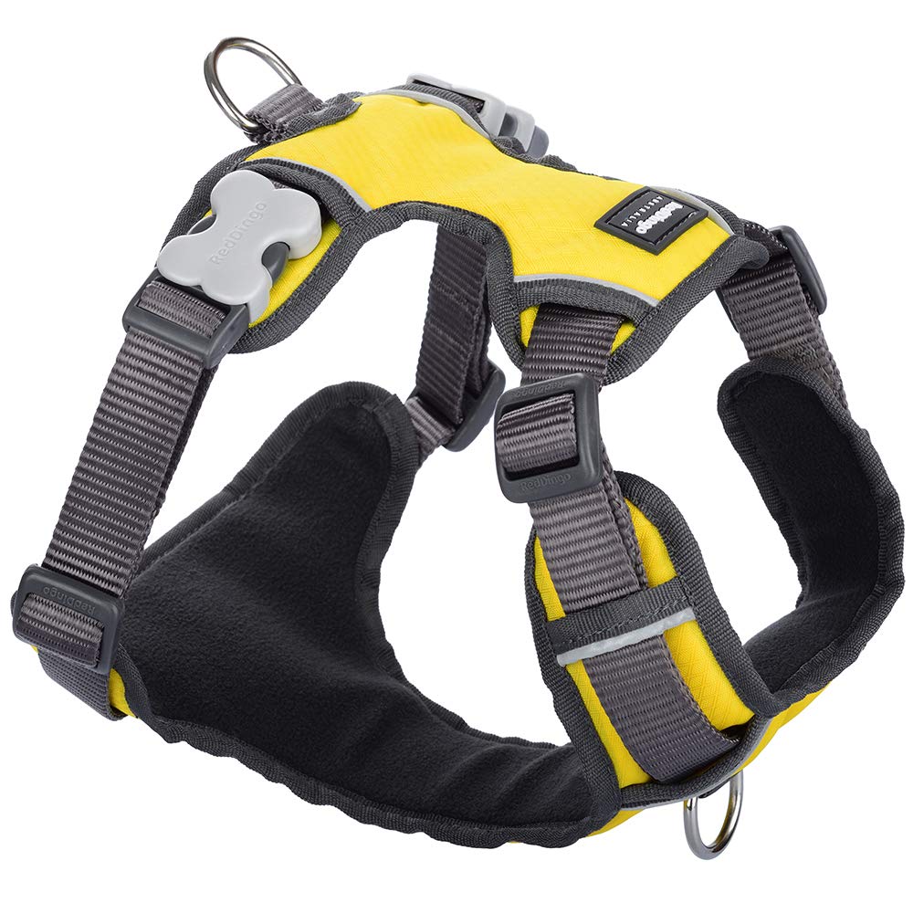 Red Dingo Padded Dog Harness, Miniature/Toy Breeds, Adjustable Fit, Size: X-Small, Yellow, Xs