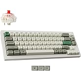 Keychron Q2 Max Wireless Custom Mechanical Gaming Keyboard, QMK/VIA Programmable Knob 2.4 GHz/Bluetooth 5.1/Wired, 65% Compact RGB Hot-Swap with Gateron Red Switch for Mac Windows Linux - White