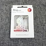 Wenasi Keychain