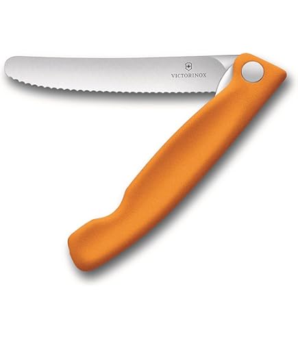 Amazon.com: Victorinox Swiss Classic Foldable Paring Knife