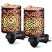 AMIR Salt Lamp, Natural Himalayan Salt Rock Lamp, 2 Pack Salt Crystal Night Lights with Modern Design Metal Lampshade, UL Approved Wall Plug, for Decoration, Lighting, Air Purifying, 4 Bulbs Included