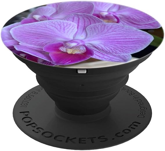 Amazon Com Beautiful Nature Images Sea Of Orchids Popsockets Amazon Com Beautiful Nature Images Sea Of Orchids Popsockets