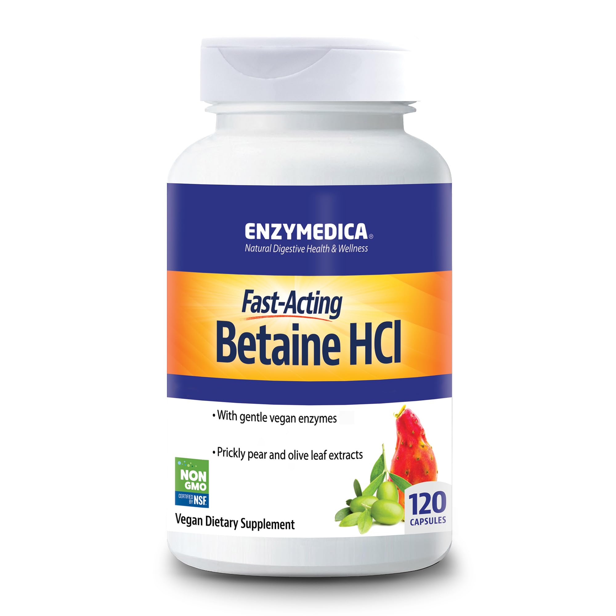 ENZYMEDICA - Betaine HCI (120 Capsules) | Digestive Support Enzyme Supplement | Acid Active Protease Digestive Enzyme Blend for Acid Reflux and Indigestion, Nutrient Supplements, Gut Health Supplement