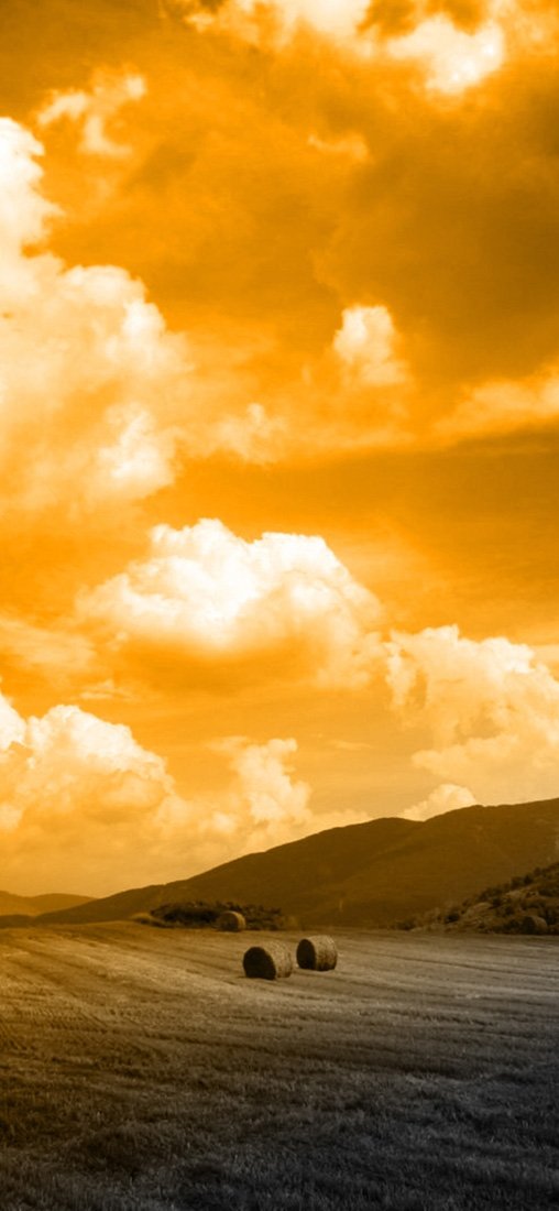 PeelitStickit, Beautiful Nature Wall Murals, ID-1137, vinyl