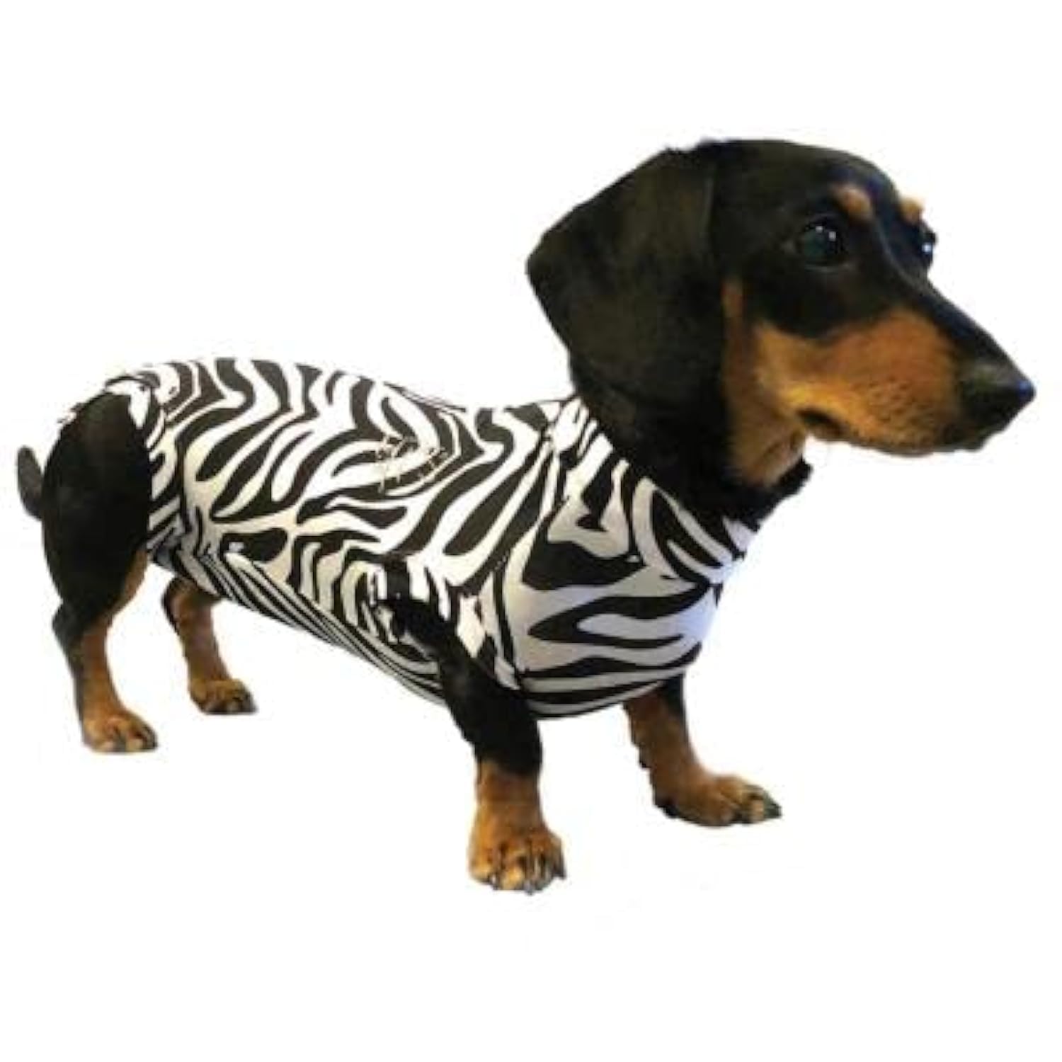 MPS Medical Pet Shirt Dog, Surgery Recovery Suit, Zebra-Print, Small