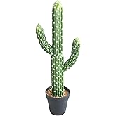 momoplant Artificial Cactus Succulent Plant, 24 Inch Tall Faux Fake Desert Cacti Plant with Black Planter for Home Garden Office Floor Decor