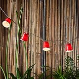 20 Red Cup Battery Operated LED Indoor College Party String Lights