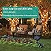 100 Ft Solar Rope Lights, Outdoor String Lights Powered by Solar and Battery, 8 Modes 300 LEDs IP67 Waterproof Solar Fairy Lights with RF Remote for Patio Garden Party Home Decor (Warm White)