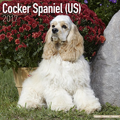 Cocker Spaniel Calendar 2017 - American - Dog Breed Calendars - 2016 - 2017 wall calendars - 16 Month by Avonside