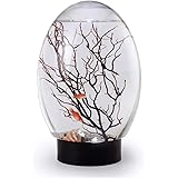 YYDX Spherical Closed Aquatic Ecosystem, Small Fish Tank Ecosphere with LED Lighting Black…