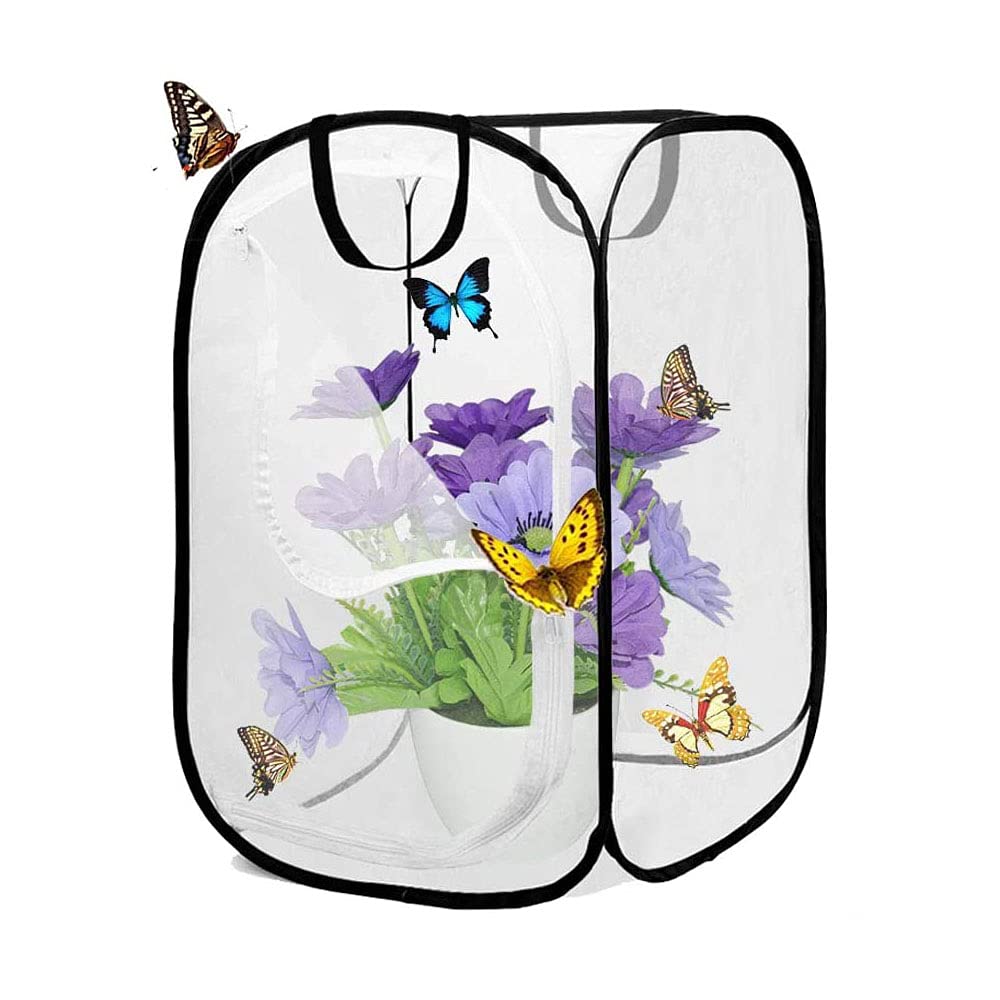Ritte Butterfly Habitat Cage, Polyester & Mesh, Foldable, Ideal for Insect Rearing