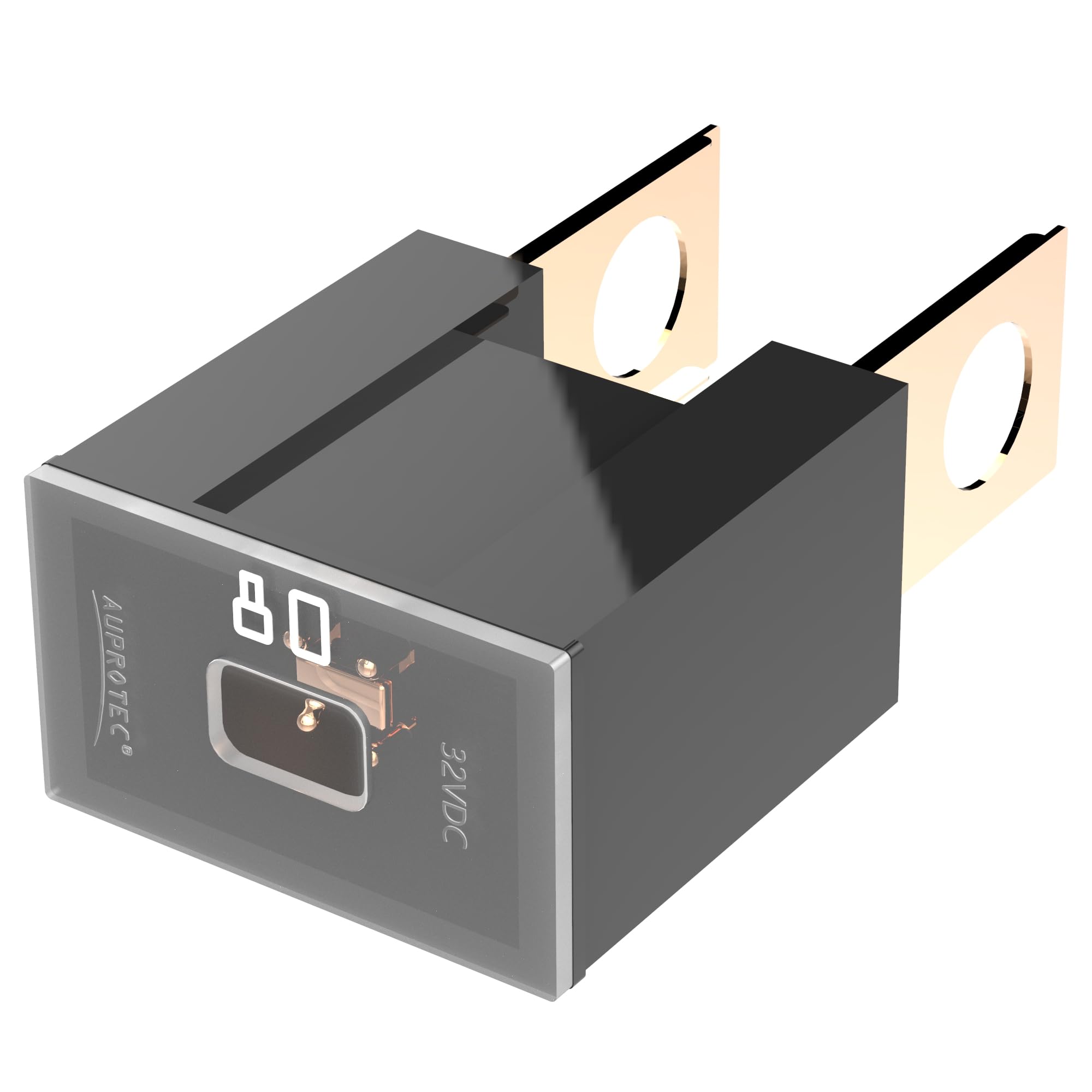 AUPROTEC PAL B Auto Link Fuses Slow Blow male OTO BT pacific fuse: 80 amp black, 1 pc