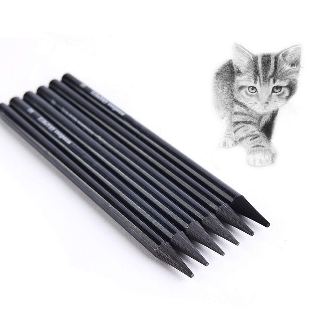 IBLUELOVER 6Pcs Artist Sketch Pencils Woodless Graphite Pencil Set Professional Charcoal Sticks HB 2B 4B 6B 8B EE Art Supplies for Adults Professionals Beginners