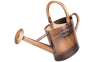 Megawodar 1 Gallon Metal Watering Can with Removable Spout, Nice Galvanized Steel Water Can with Embossed Design for Indoor and Outdoor Plants