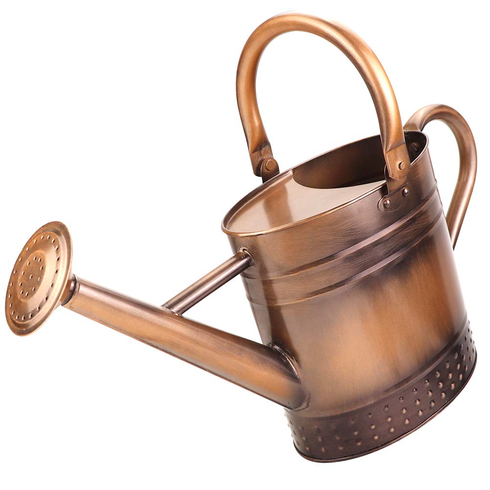 Photo 1 of **SEE NOTES***Megawodar 1 Gallon Metal Watering Can with Removable Spout, Nice Galvanized Steel Water Can with Embossed Design for Indoor and Outdoor Plants