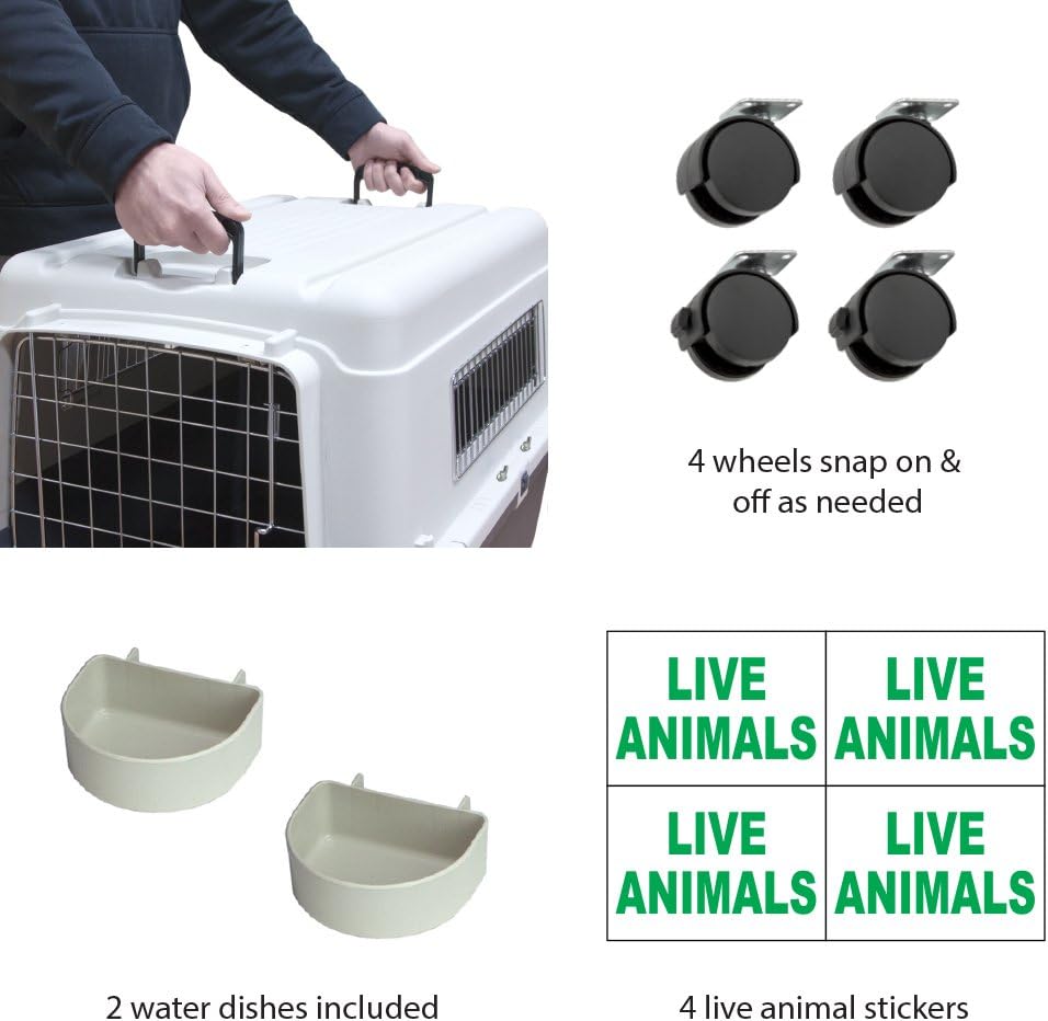 SportPet Designs Plastic Kennels Rolling Plastic Wire Door Travel Dog Crate- Large Kennel, Gray: Pet Supplies