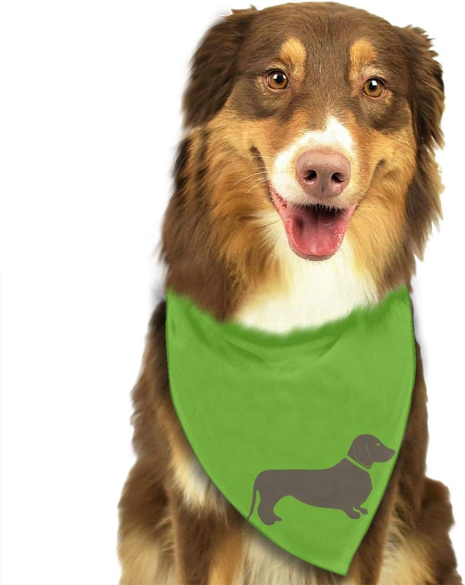 Amazon Com Address Verb Dog Bandana Pet Scarf Long Haired