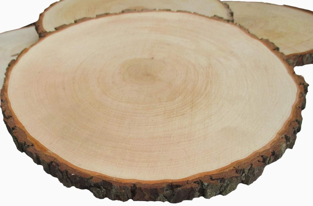 Amazon Com Natural Camphor Wood Slices Unfinished Wood Rounds