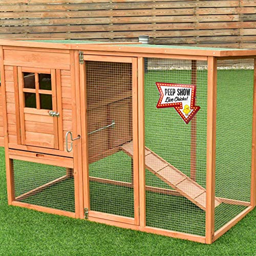 Bigtime Signs PVC Chicken Coop Sign Peep Show Live Chicks Hen House